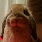 Profile Picture of tarryn Peters (@crystalcauseway) on Instagram