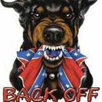 Profile Picture of Skyler Stevens (@skylerstevens10) on Instagram