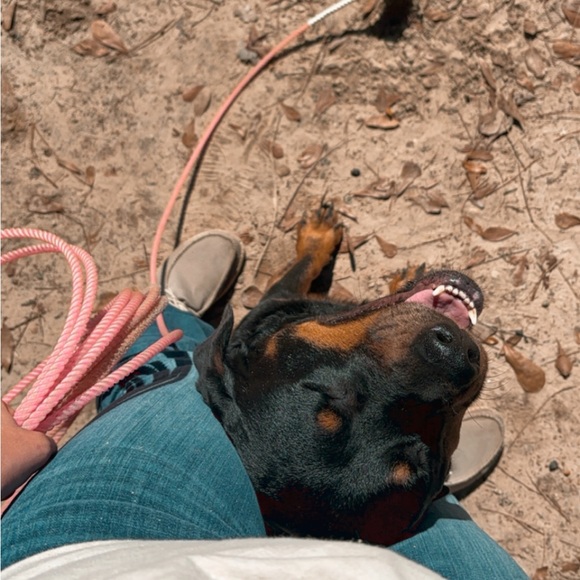 Profile Picture of Jillian Fore (@jillianfore) on Poshmark