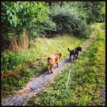 Profile Picture of Ian Givens (@wasntrisk) on Instagram