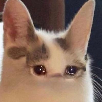 Profile Picture of Damien (@damien_obrien_) on Twitter