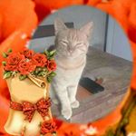 Profile Picture of Humberto Serrano (@humberto.serrano.3954) on Instagram