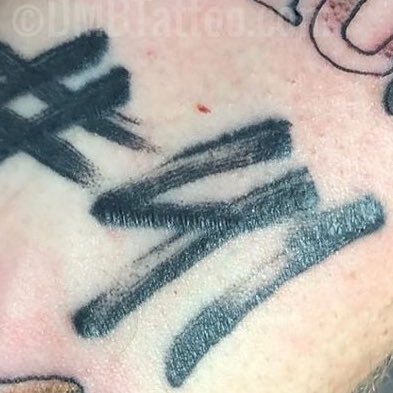 Profile Picture of Matt Koen (@mattkoen) on Twitter