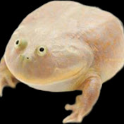 Profile Picture of Walton (@waltongue) on Youtube