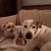Profile Picture of Debbie Larsen (@debbie.larsen.54922) on Facebook