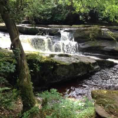 Profile Picture of Katelyn Ryan (@Katelynryan151) on Twitter