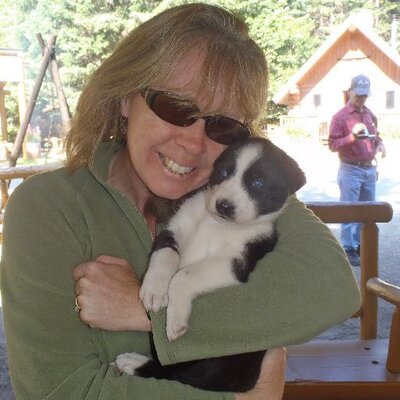 Profile Picture of Julia Cahill-O'Shea (@cahilloshea) on Twitter
