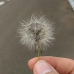 Profile Picture of Jenny Corry Nawangwulan (@nawanggreen) on Instagram