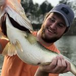 Profile Picture of Chris Carroll🎣 (@chriscarroll_fishing) on Instagram