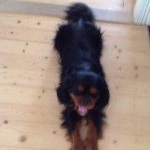 William - Instagram Profile Picture of William (@williamrinkan) on Instagram