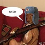 Profile Picture of Caleb Piper (@riddick772_) on Instagram