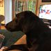 Profile Picture of Jeff Kuhnert (@jeff.kuhnert.5) on Facebook