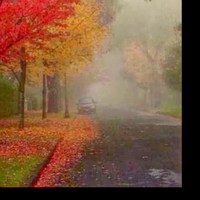 Profile Picture of Shawn Shen (@shawn-shen-21) on Quora