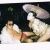 Profile Picture of Andrew Asuncion (@andrewasuncion) on Pinterest
