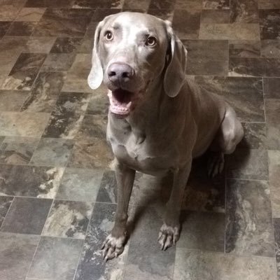 Profile Picture of Sean Leger (@seanleger71) on Twitter
