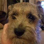 Profile Picture of Rob Stewart (@rob.stewart.279) on Instagram