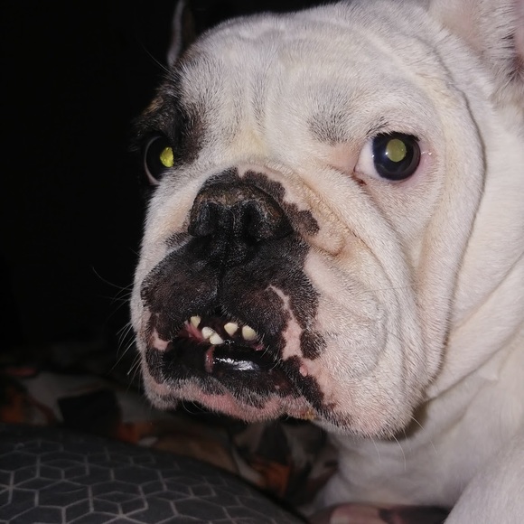 Profile Picture of James Terranova (@james_terranova) on Poshmark