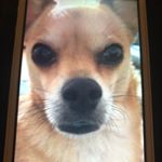 Profile Picture of Debbie Boyd (@bouddebbie) on Instagram