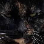 David Longfield - Facebook Profile Picture of David Longfield (@david.longfield.16) on Facebook