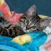 Profile Picture of JoAnn Keenan (@jak928) on Pinterest