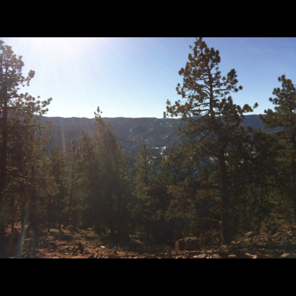 Profile Picture of Lia Paglino (@lkp) on Poshmark