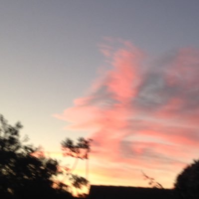 Profile Picture of Paul Chen (@paulchen7239) on Twitter