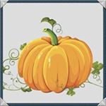 Michel Barbeau - Instagram Profile Picture of Michel Barbeau (@freestyle.611) on Instagram