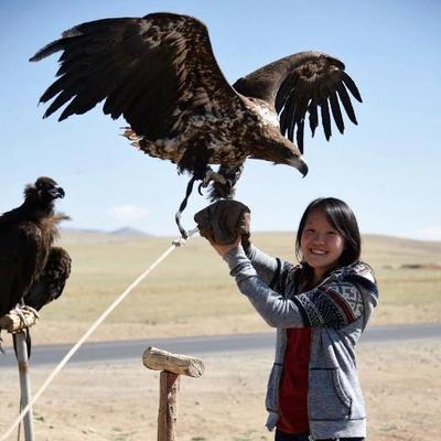 Profile Picture of Ariel Chan (@arielchan33) on Twitter