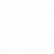 Profile Picture of Toby Rogers (@tobyrogers3616) on Youtube