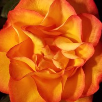 Profile Picture of Brenda Olmstead (@brenda-olmstead-2) on Quora