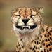 Profile Picture of Annette Hoppe (@annette.hoppe.1401) on Facebook