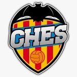 Profile Picture of CHES VALENCIA CF OFICIAL ◼️◻️ (@ches_vcf) on Instagram