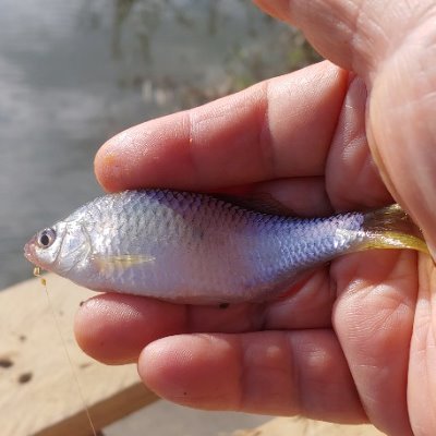 Profile Picture of Youngjoon Kim (@YoungJoonKim888) on Twitter