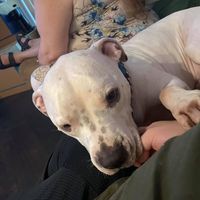 Jeff Thomsen - Quora Profile Picture of Jeff Thomsen (@jeff-thomsen-8) on Quora