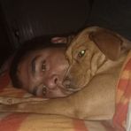 Profile Picture of Michele Confalone (@Michele-Confalone) on Facebook