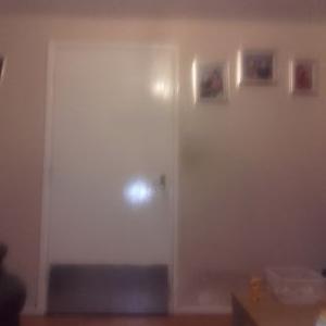 Profile Picture of Aiden Lowe (@annmarie12401) on Twitter