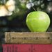 Profile Picture of California Learning Center Santa Barbara (@clcsbca) on Pinterest