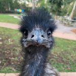 Profile Picture of withtheshits.ray (@withdashits.ray) on Instagram