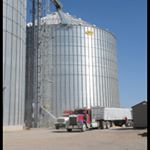 leo carreno - Instagram Profile Picture of leo carreno (@rebelde435) on Instagram