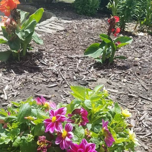 Profile Picture of Amrin Ebrahim (@amrins) on Poshmark