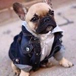 Profile Picture of Mikayla Pauline (@mikayla987) on Instagram