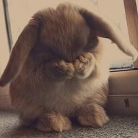 Profile Picture of Jake Bradshaw (@jake-bradshaw-2) on Quora