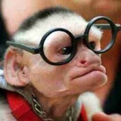 Profile Picture of Chris Prock (@caprock7319) on Twitter