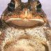 Profile Picture of Victor Wiley (@victor.wiley.37) on Facebook