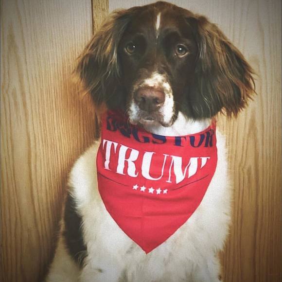 Profile Picture of Michele Longhini (@michelelonghini) on Poshmark