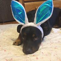 Profile Picture of David Hightower (@david-hightower-5) on Quora