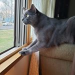 Profile Picture of Jim Berger (@jim.berger) on Instagram