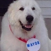 Profile Picture of Michael Lambright (@michaellambright3306) on Youtube