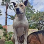 Profile Picture of Mitchell Mason (@mitchell.mason.9047) on Instagram