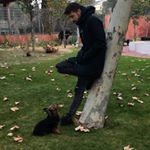 Pablo Anton - Instagram Profile Picture of Pablo Anton (@pablozblack) on Instagram